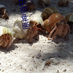 原神当(當)甘雨被空c出(出)液体时视频(頻)流出