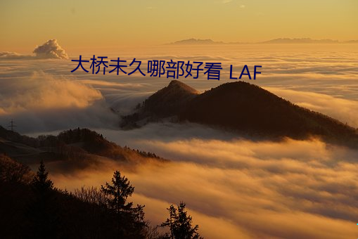 大(dà)桥未(wèi)久(jiǔ)哪部好看 LAF