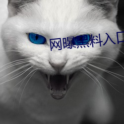 网曝黑料入口