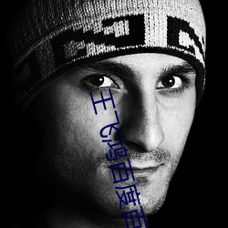 王飛鴻百度百科