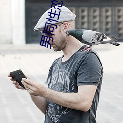 男同性戀小說
