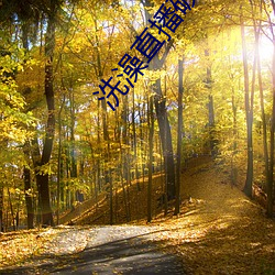洗澡直(直)播(播)破解(解)版