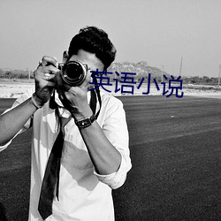 英语(語)小说(說)