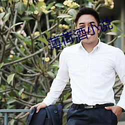 薄荷酒小說