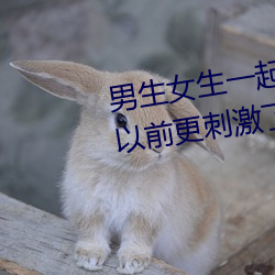 男生女生一起差差打扑克据说比以前更刺激了