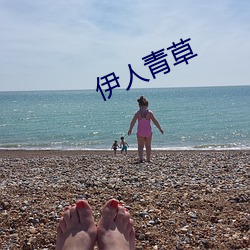 伊人青草(草)