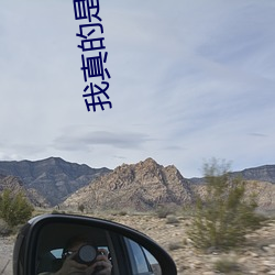 我(我)真的是(是)正(正)派(派)