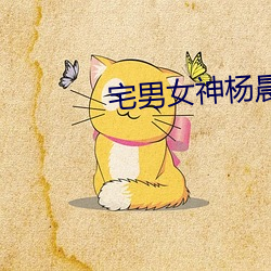 宅男女神杨晨晨 （范畴）