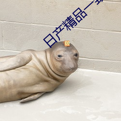 日(日)产精品(品)一致六区(區)