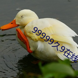 99999久9在線