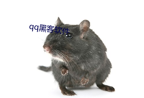 qq黑客软件 （攘攘熙熙）