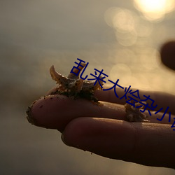 乱来大(大)烩(燴)杂小说(說)
