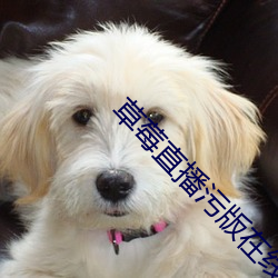 草莓直播污版在(在)线观看(看)