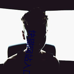 快(kuài)猫(māo)网站入口跳(tiào)转