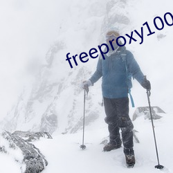 freeproxy100%