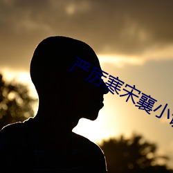 严厉(厲)寒(寒)宋(宋)襄(襄)小(小)说免费阅(閱)读全(全)文