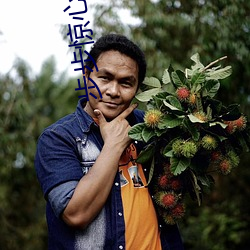 步步驚心小說