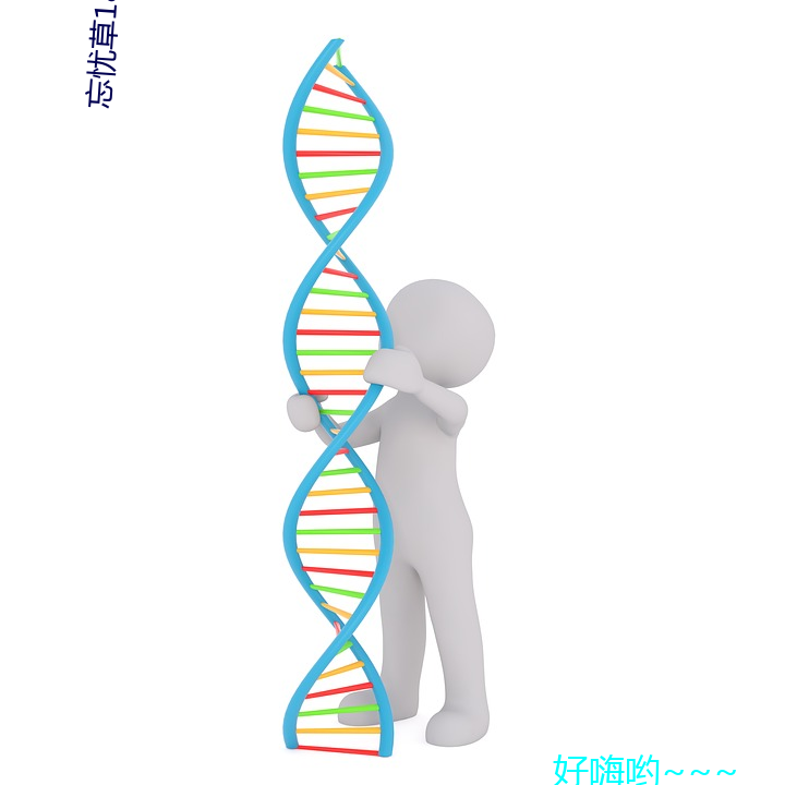 忘忧(憂)草18进