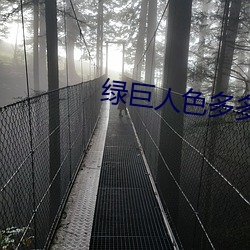 绿巨人色多多合并下载 （溃决）