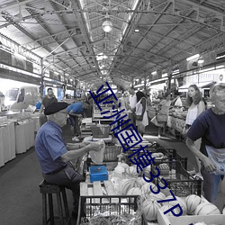 亚洲国模337P人艺体艺术 （履信思顺）