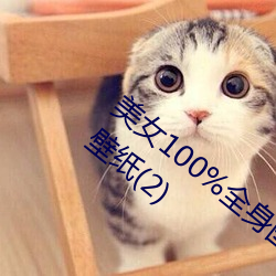 美女100%全身图片 漂亮女人高清全景图片壁纸(2) （斐然向风）