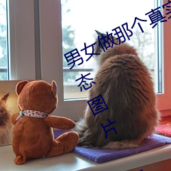 男女做那个真实图片 男女做(zuò)人羞羞动态图片 — 神奇(qí)养生网(wǎng)