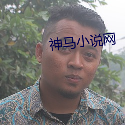 神(shén)马小说网