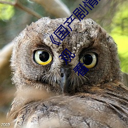 《國産劇情天美傳媒果凍2021》完整版免費在線觀看