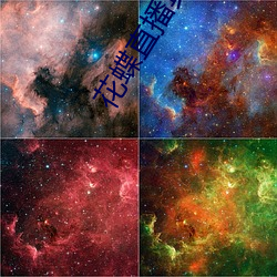花蝶(蝶)直播真人秀