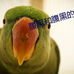 腹(腹)黑和(和)腹(腹)黑的终极(極)对(對)决