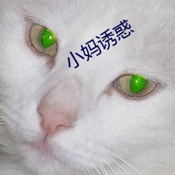 小媽誘惑