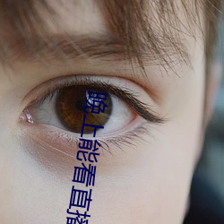 晚上(shàng)能看直播(bō)的软件