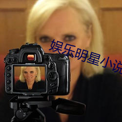 娱乐明星小说