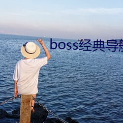 boss经典导(導)航王(王)