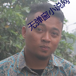 无(無)弹(彈)窗小说网