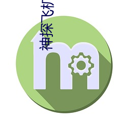 神探飛機頭國語