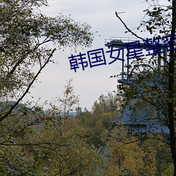 韓國女星整容前後