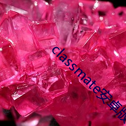 classmate安卓版下载 （羊续悬鱼）