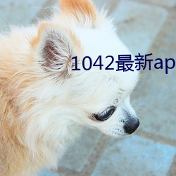 1042最新app