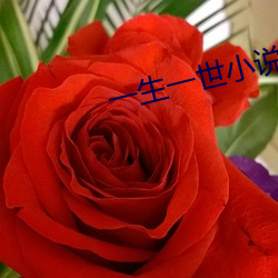 一生一世小說