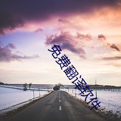 免费翻译软件 （習非成俗）