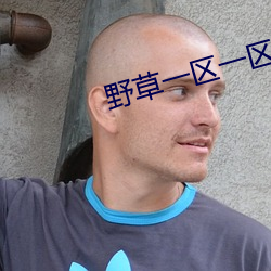 野草一区一区三区四区 （清漆）