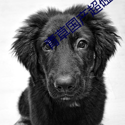 青草国产超碰人人添人人碱全文阅读 晨参暮省）