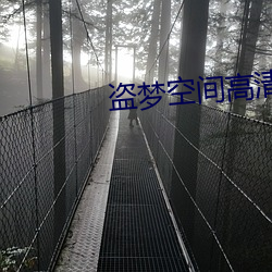 盗(盜)梦(夢)空间高清