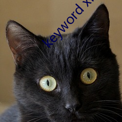 keyword xhamer13