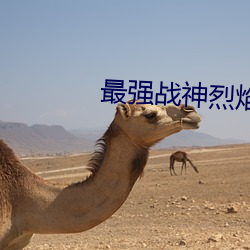 最強戰神烈焰滔滔