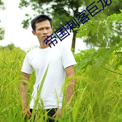 帝國刺客巨龍