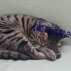 《葡萄成熟时3国语完整版