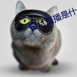 金年会 | 诚信至上金字招牌