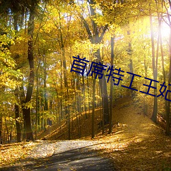 首席特(特)工王妃